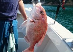 愛裕南丸 釣果