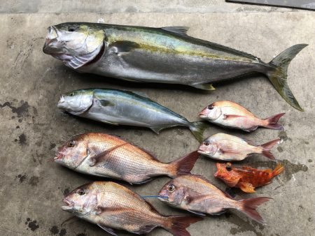 長栄丸(千葉) 釣果