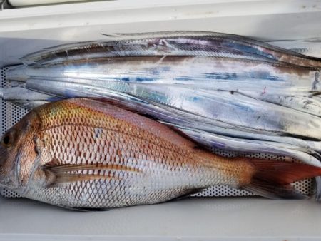 オーフリー 釣果