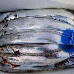 オーフリー 釣果