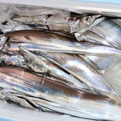 松本釣船２ 釣果