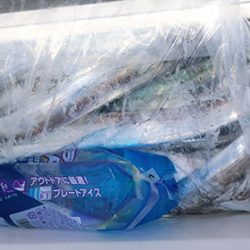 松本釣船２ 釣果