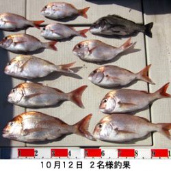 来温丸（らいおんまる） 釣果