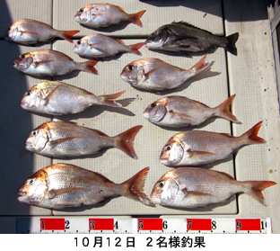 来温丸（らいおんまる） 釣果