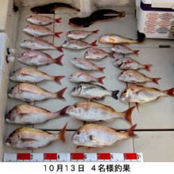 来温丸(らいおんまる) 釣果