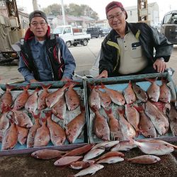 明神釣船 釣果