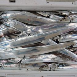 松本釣船２ 釣果