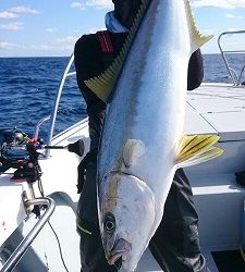 海龍丸(福岡) 釣果