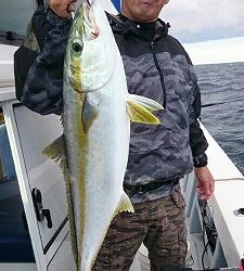 海龍丸(福岡) 釣果