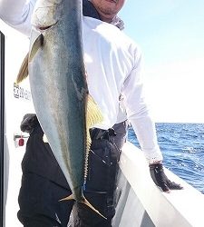 海龍丸(福岡) 釣果