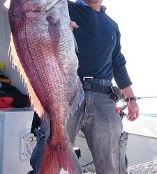 海龍丸(福岡) 釣果