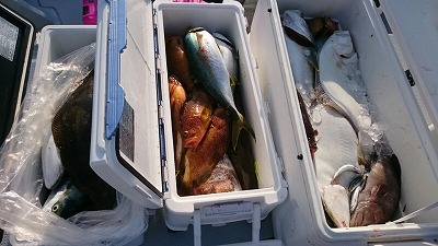 海龍丸(福岡) 釣果