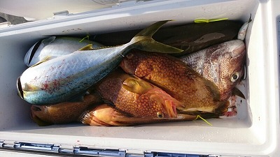 海龍丸(福岡) 釣果