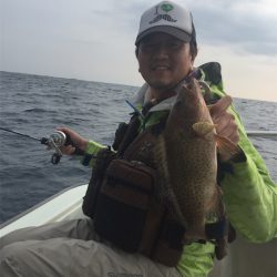 マタウマリンサービス 釣果