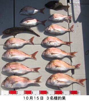 来温丸（らいおんまる） 釣果