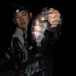 ルアー船マヒマヒ 釣果