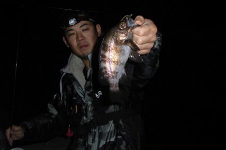 ルアー船マヒマヒ 釣果