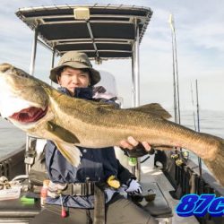 オーシャンマスター 釣果