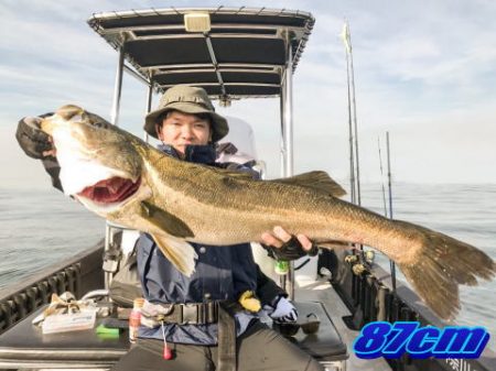 オーシャンマスター 釣果