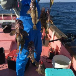 第八平成丸 釣果