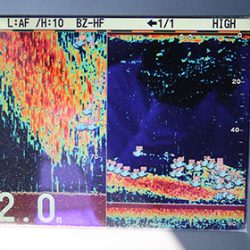 松本釣船２ 釣果