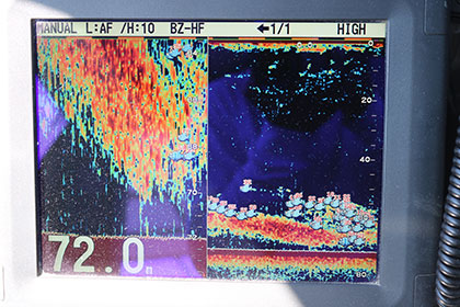 松本釣船２ 釣果