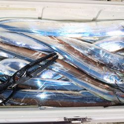 松本釣船２ 釣果