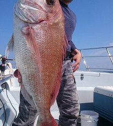 海龍丸(福岡) 釣果
