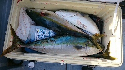 海龍丸(福岡) 釣果