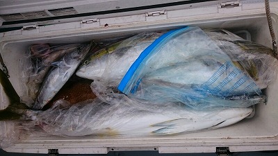 海龍丸(福岡) 釣果