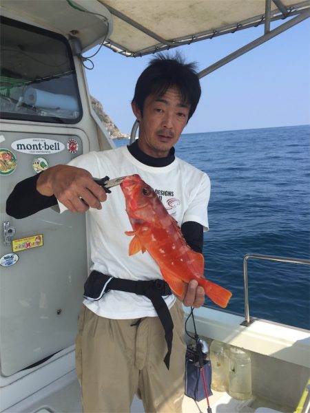 マタウマリンサービス 釣果