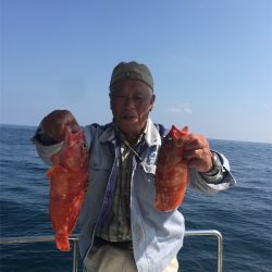 マタウマリンサービス 釣果