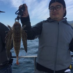 マタウマリンサービス 釣果