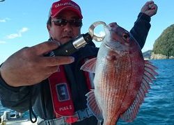 愛裕南丸 釣果