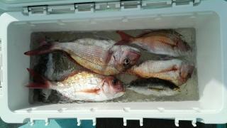 長栄丸(静岡) 釣果