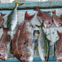 明神釣船 釣果