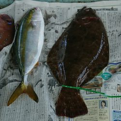 明神釣船 釣果