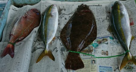 明神釣船 釣果