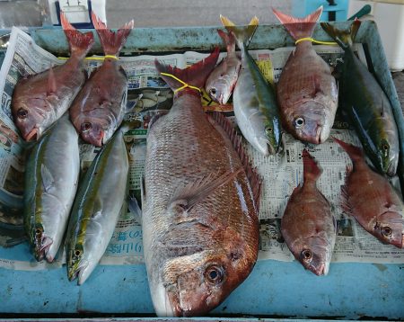 明神釣船 釣果