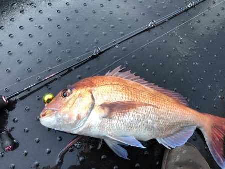 長栄丸(千葉) 釣果