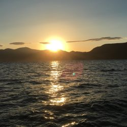 第八平成丸 釣果