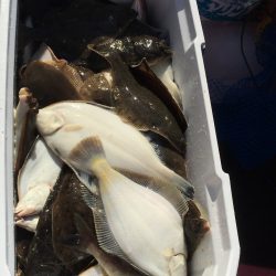 第八平成丸 釣果