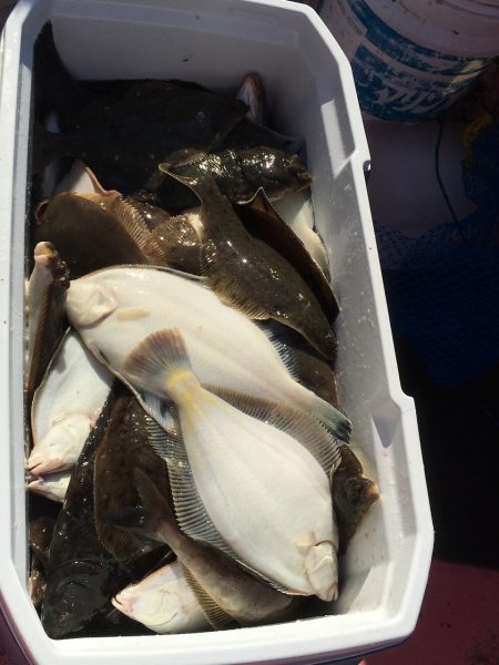 第八平成丸 釣果