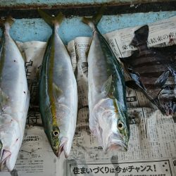 明神釣船 釣果
