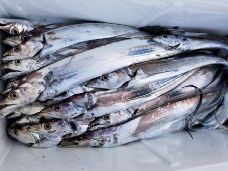 オーフリー 釣果