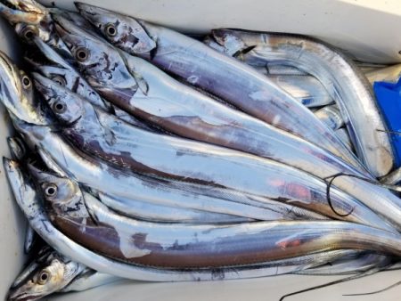 オーフリー 釣果