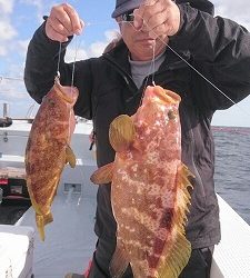 海龍丸(福岡) 釣果