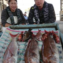 明神釣船 釣果