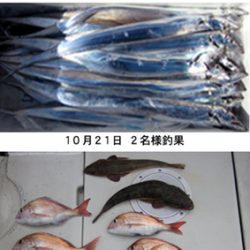 来温丸(らいおんまる) 釣果