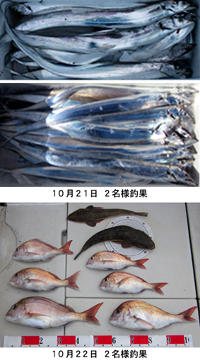 来温丸（らいおんまる） 釣果